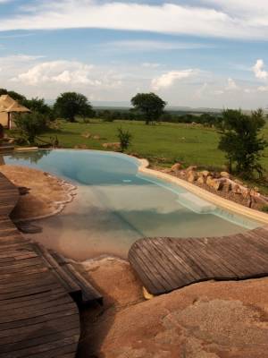 Guest Pool in Sayari