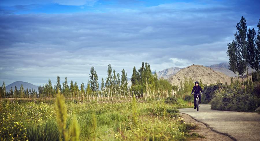 Bicycle Tour in the Leh and Ladakh regions of the Himlayas, India