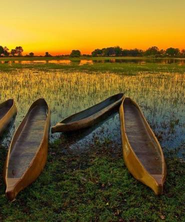 Africa Safaris: Top 5 Things to do at the Okavango Delta