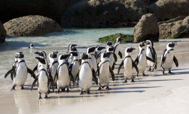 Adventure & Outdoors