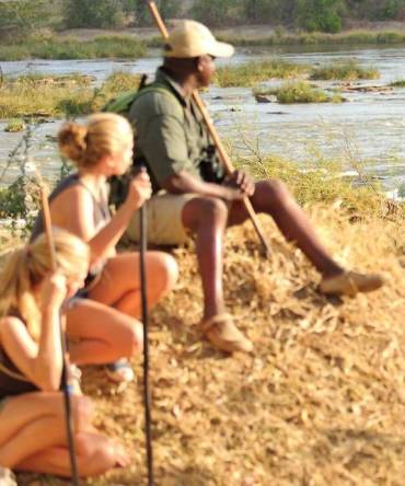 Tanzania safari: North or South?