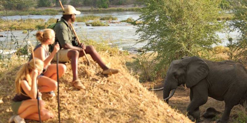 Tanzania safari: North or South?