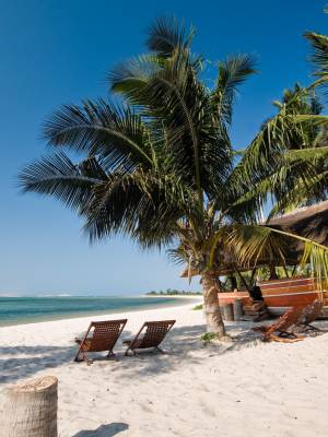 Sustainable Experiences & Partners