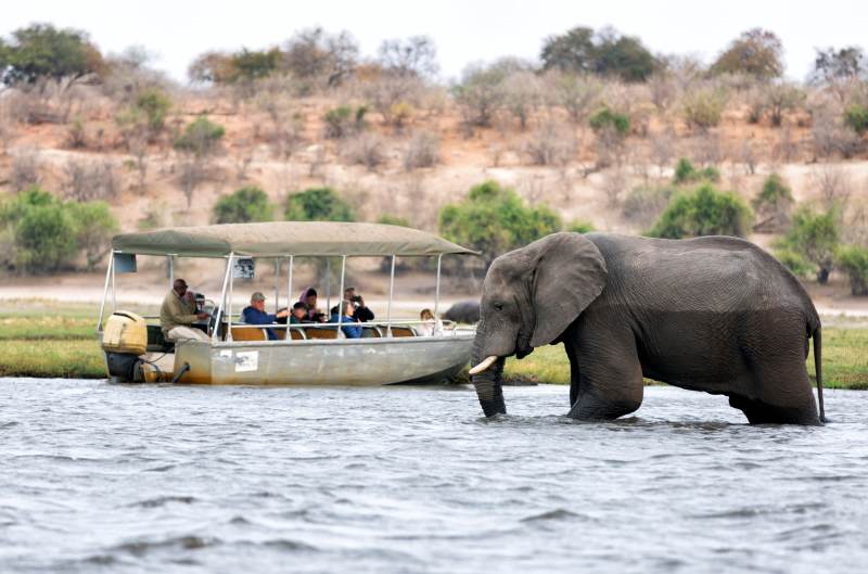 chobe-national-park-botswana-tourists-boat