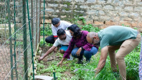 Green Office Operations