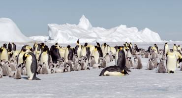 Adventure & Outdoors