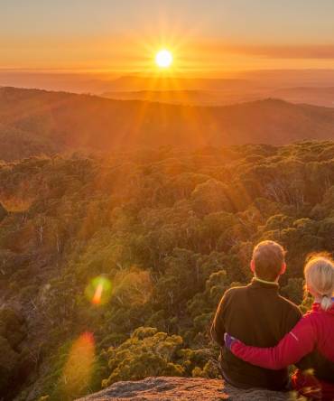 Minimizing Carbon Emissions