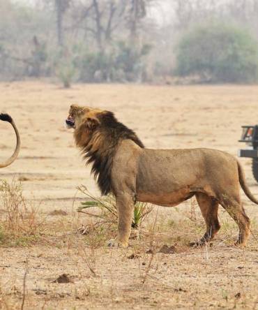 Enchanting Travels African safari parks to see