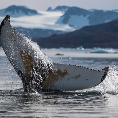 Enchanting Travels Arctic Tours (6)