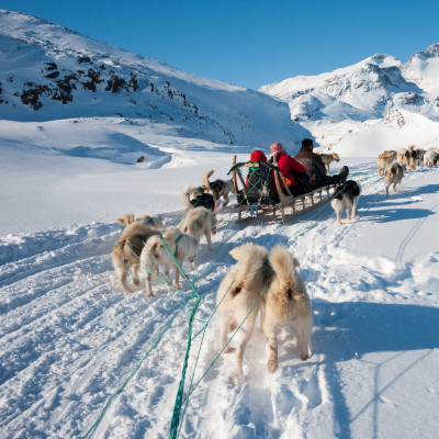 Enchanting Travels Arctic Tours - Dog sledding
