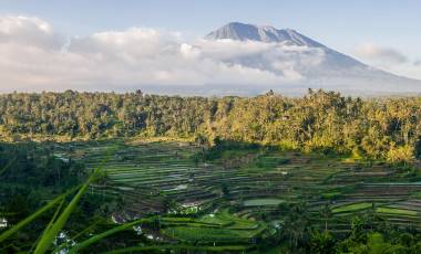 Beautiful volcano Agung and rice fields. Bali. Indonesia. Asia