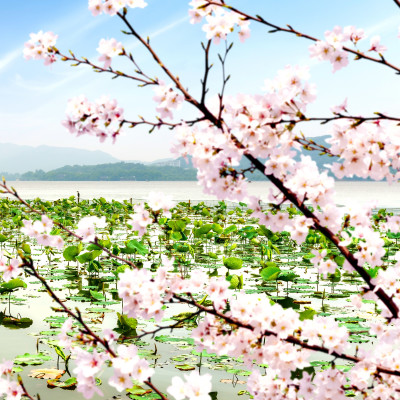 Enchanting Travels China Tours ancient pavilion on the west lake in hangzhou