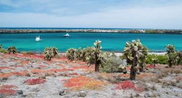 Beautiful landscape of Galapagos South Plaza island, South America