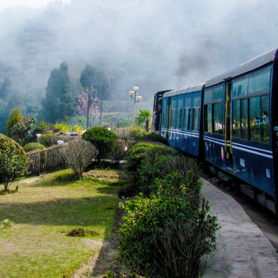 Train passing a beautiful garden, Darjeeling, India