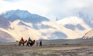 Camel riding at Hundar Village in Himalaya, Nubra Valley, Leh Ladakh, Jammu and Kashmir, India