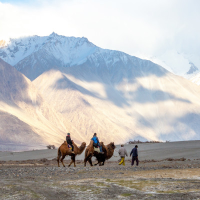 Camel riding at Hundar Village in Himalaya, Nubra Valley, Leh Ladakh, Jammu and Kashmir, India