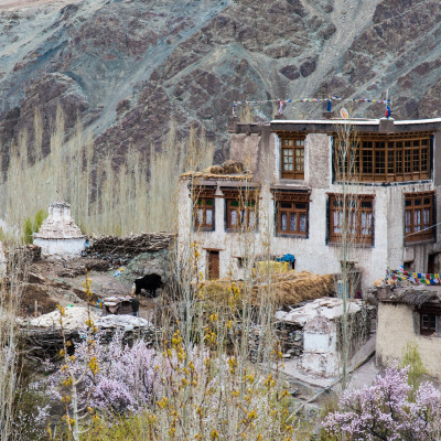 Breathtaking landscape, Alchi, India