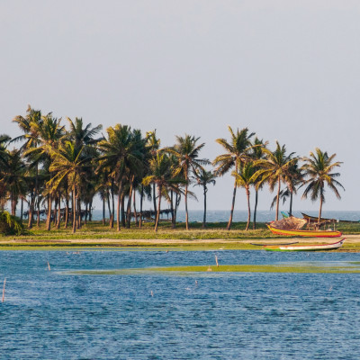 Fishermen Catching Fish at Chennai Buckingham Canal