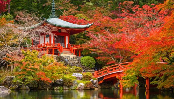 experience Kyoto scenery luxury japan trip