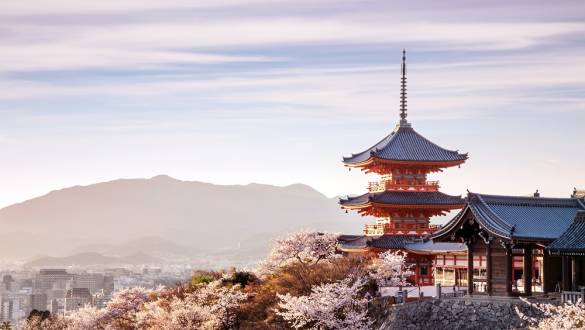 Sunset at Kiyomizu Temple in cherry blossom season
