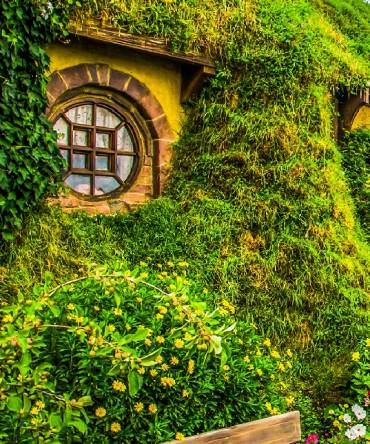 Lord of the Rings tour New Zealand