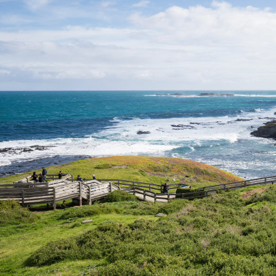 Nobbies in Phillip Island with an clean and windy winter weather and very blue sea - oceania tours