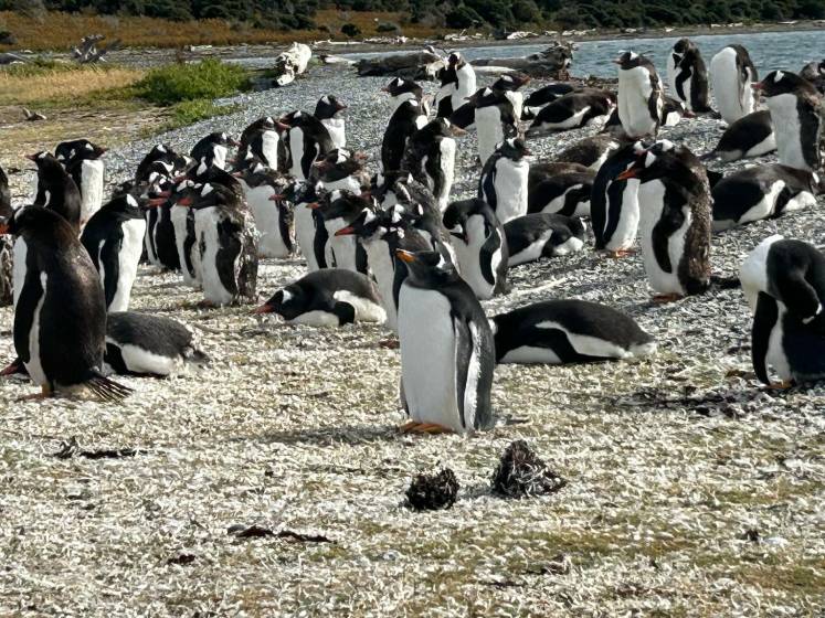 Argentina, Chile, Patagonia