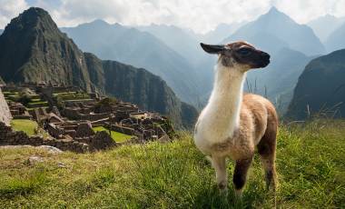 Machu Picchu trip