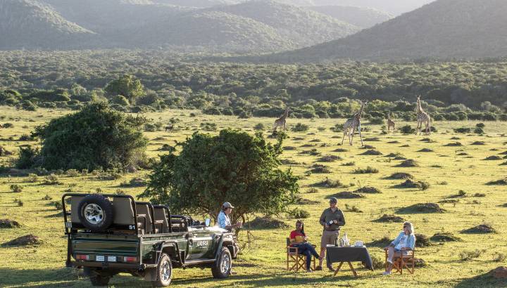 South Africa Holidays