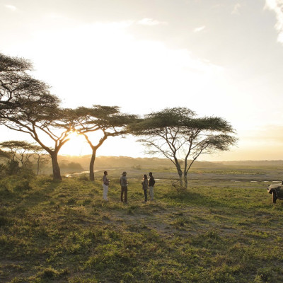 Enchanting Travels Serengeti