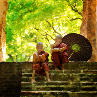 Buddhist Monk Reading Outdoors, Myanmar