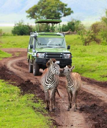 The Launch of The Goal: Africa to Brazil!