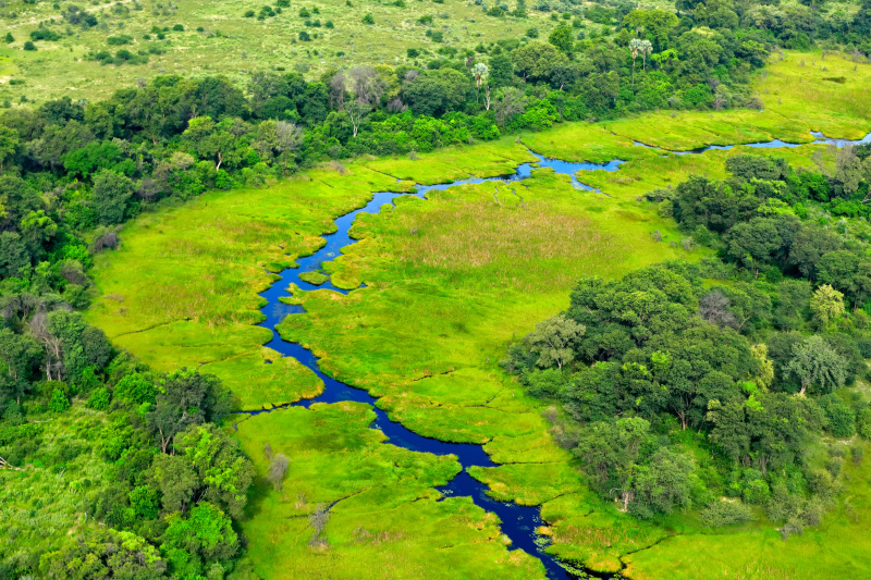 green-river-aerial-landscape-okavango-delta