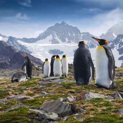 South Georgia Island