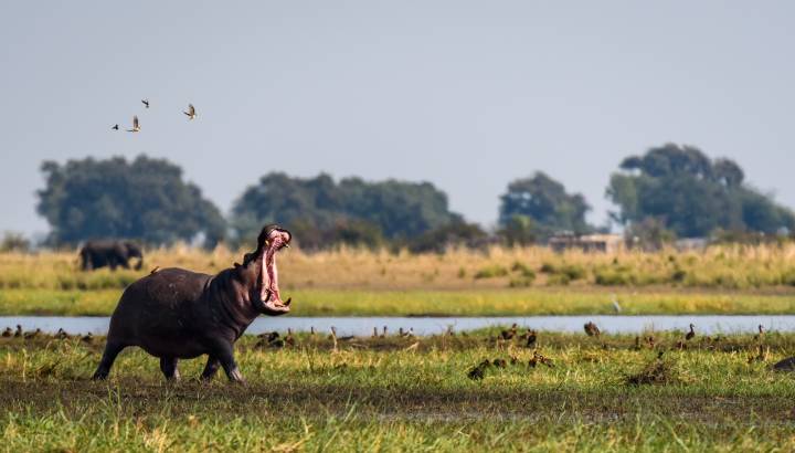 Search for Your Perfect Luxury Vacations