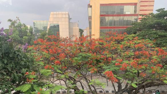 Green Office Operations