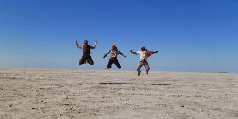 From Africa to Brazil