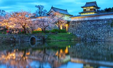 Top 10 Temples in Japan