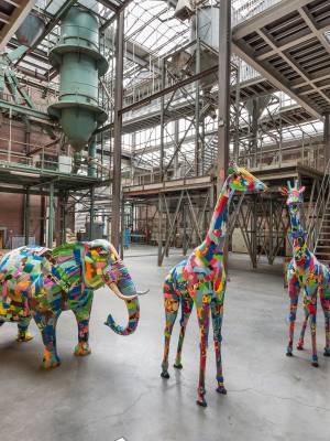 Supporting Communities & Conservation