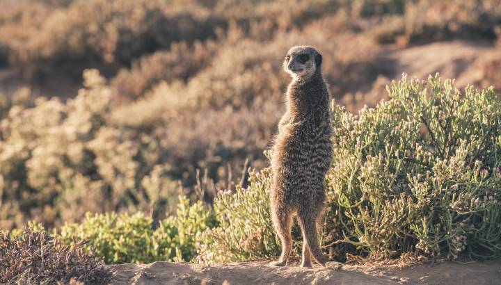 Search for Your Perfect Luxury Vacations