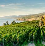 Canada Road Trip: Vancouver to Calgary