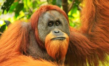 Top 10 Temples in Japan