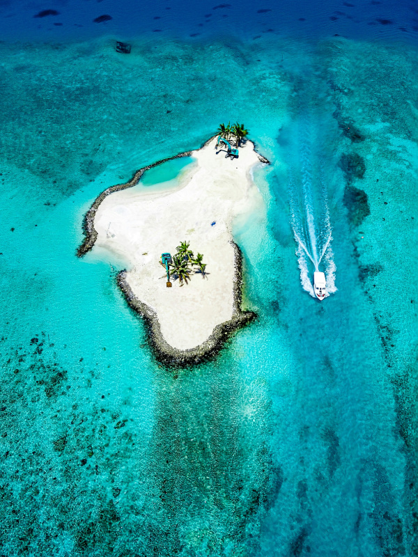 aerial photography of island