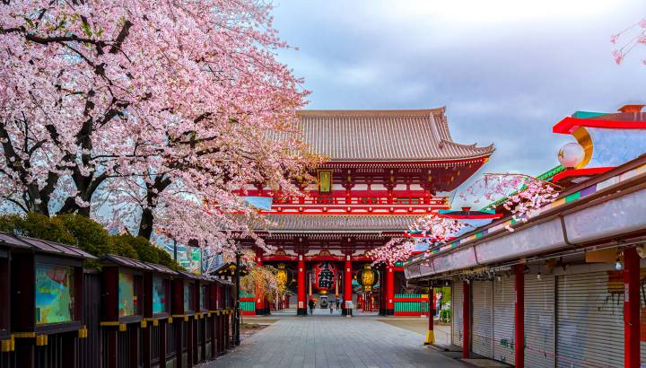 Visit one of Japan's many beautiful temples.