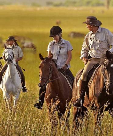 African serengeti-national-park-zebras