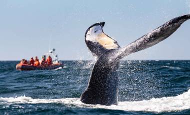 Canada Road Trip: Vancouver to Calgary