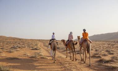 Walking with camels in desert of oman