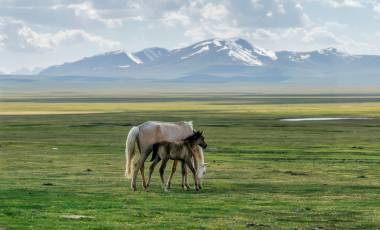 Private Kyrgyzstan Tour