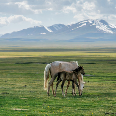 Private Kyrgyzstan Tour