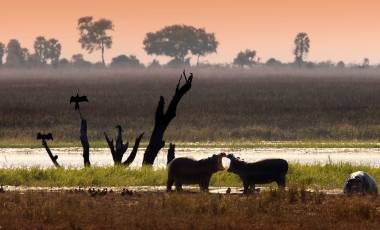 Sustainable Experiences & Partners